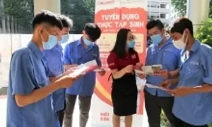 Nỗi sợ tay trắng hồi hương của lao động Việt ở Nhật